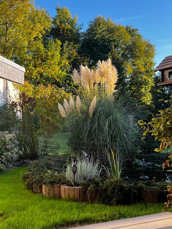 Appartement Riesen Düderode Düderoder Straße 3, 37589 Kalefeld