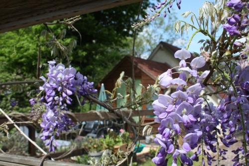 River Cottage Balledent france