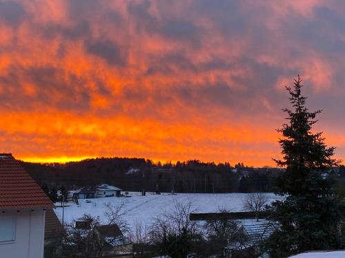 Röderhof-Pfalz Leimen allemagne