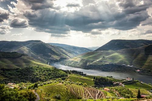 Romantic Luxury Douro Valley Villa and Vineyard Folgosa portugal