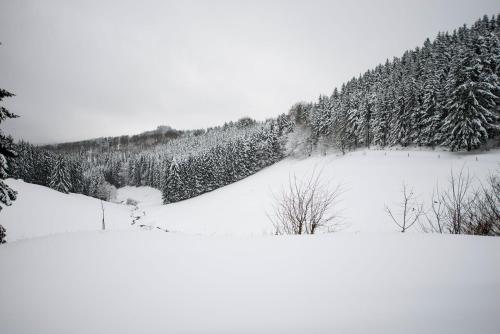 Romantikhütte Grafschaft Schmallenberg allemagne