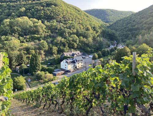 Roosartige Ferien - Ferienwohnung am Weiherturm Bacharach allemagne