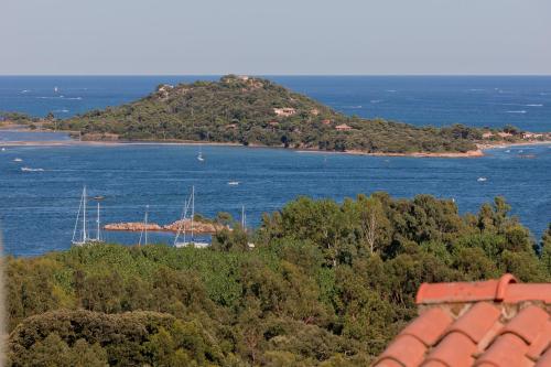 Royal Palm Porto-Vecchio france