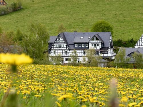 Rübenkämpers Ferienwohnungen Schmallenberg allemagne