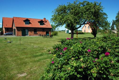 Appartements Ruegener Ferienhaeuser Mit Kamin OT Lüßvitz Nr. 3 Ummanz