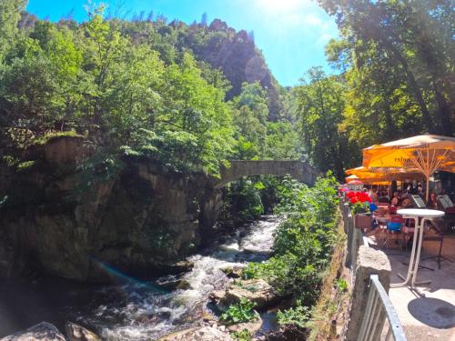 RuheZeit Bad Harzburg allemagne