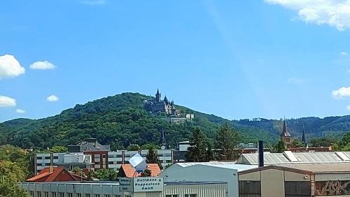 Rummy's Ferienwohnung mit Garten Wernigerode allemagne