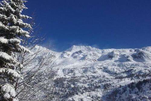 Chalet Rustic & A Chalet 'Le Sert du Grey - Vaujany 221 Route du Col du Sabot Vaujany