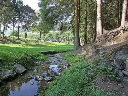 Rustic holiday home in the Hochsauerland with balcony at the edge of the forest Schmallenberg allemagne