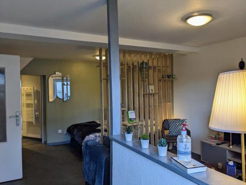 S'Hüss Bed, appartement cosy Herbitzheim france