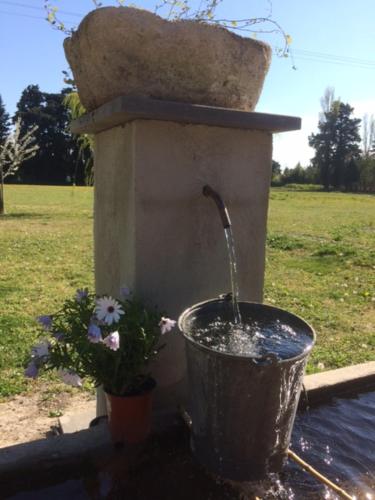 Safranière des Sorgues Le Thor france