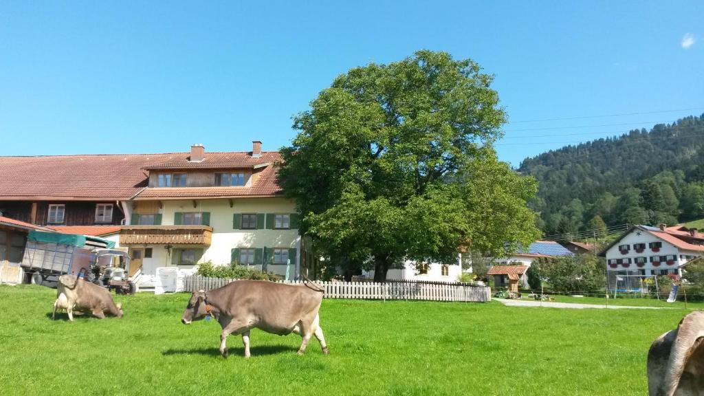 Séjour à la campagne Sägerhof Bader Wagneritz 4, 87549 Rettenberg