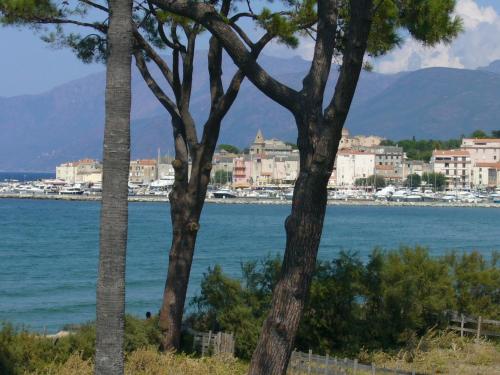 Saint Florent Saint-Florent france