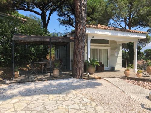 Maison de vacances Saint tropez -parc oasis 38 Chemin des orchidees Hameau des Mimosas Gassin