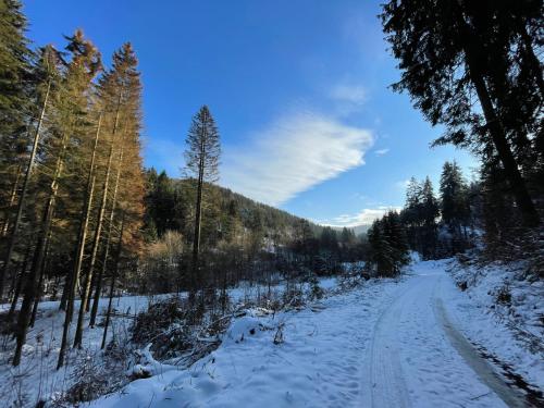 Sauerland Lodge ski & mountainbike park in nature Stryck allemagne
