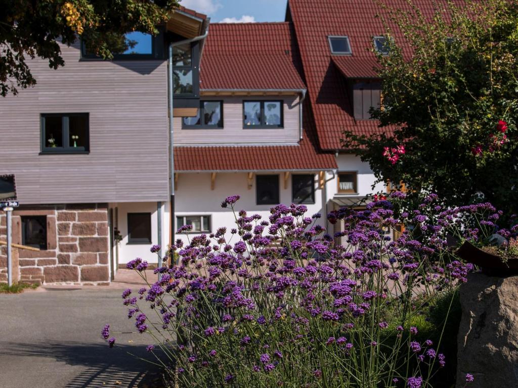 Appartement Saunaloft Schwarzwald 12 Bacher Straße, 78733 Aichhalden