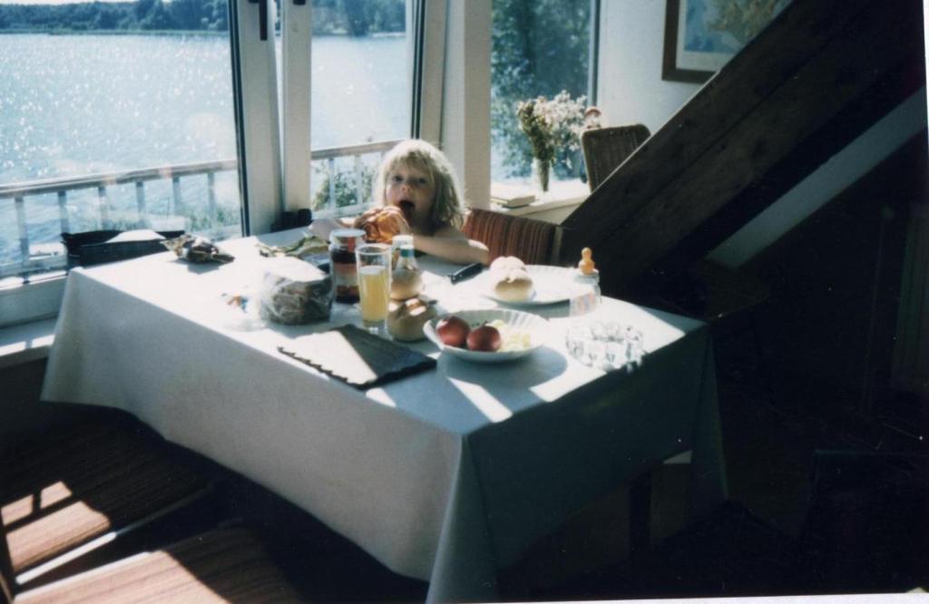 Appartement Schaalseeblick Amtsstraße 31, 19246 Zarrentin