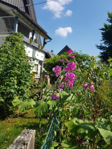 Schatz-Insel Loßburg allemagne