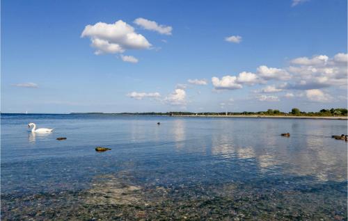 Schatzkiste 11 - Dorf 4 O Travemünde allemagne