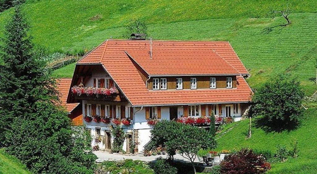 Appartement Schembachhof Absbachstrasse 4, 77776 Bad Rippoldsau-Schapbach