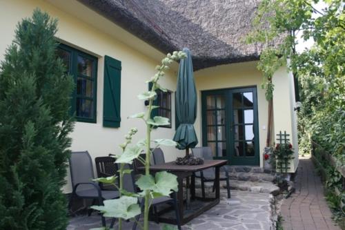 Schilfdachvilla Zeesboothaus WE308 Kleinhagen allemagne