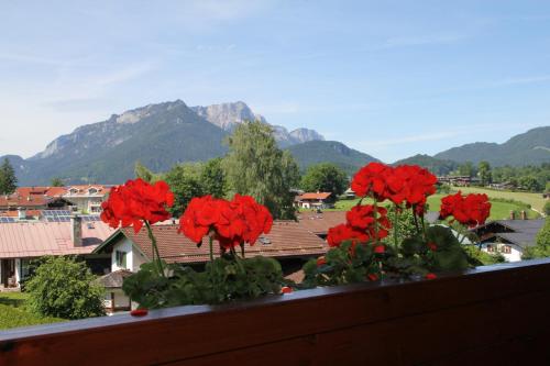 Appartement Schlafende Hexe im Buchenwald Buchenötz 1 Schönau am Königssee