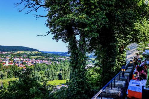 Schloß Neuburg Obrigheim allemagne