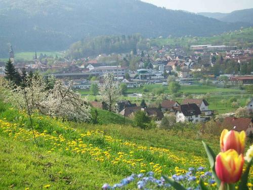 Appartement Schlossberghof Am Schloßberg 15 Haslach im Kinzigtal