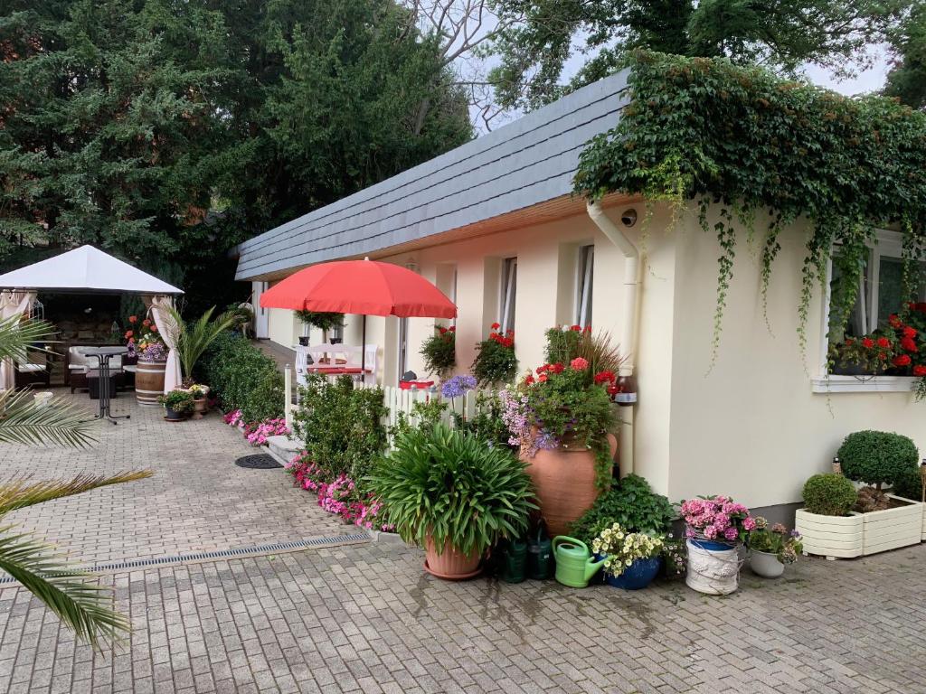 Appartement Schlossblick Gartenstrasse 4, 38889 Blankenburg