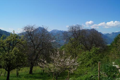 Schoberhof Samerberg allemagne