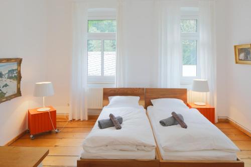 Appartement Schöna Einliegerwohnung Hirschgrund 94 Reinhardtsdorf