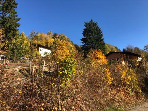 Maison de vacances Schöne Aussicht Wäschegrund 12 Sankt-Andreasberg