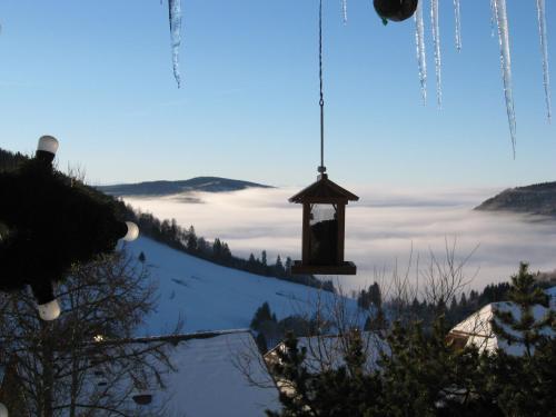 Schöne Aussicht Todtnau allemagne