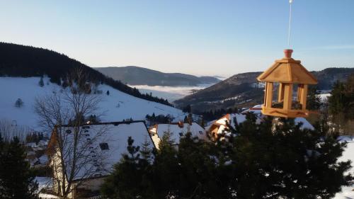 Appartement Schöne Aussicht 5 Fichtenweg Todtnau