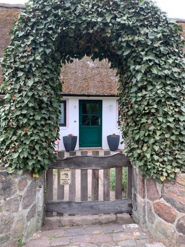 Appartement Schöne Ferienwohnung in Luhmühlen 3 Alte Dorfstraße Salzhausen