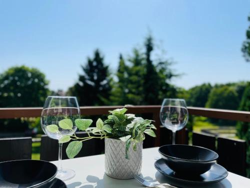 Schöne FeWo mit Balkon und toller Aussicht Höchenschwand allemagne