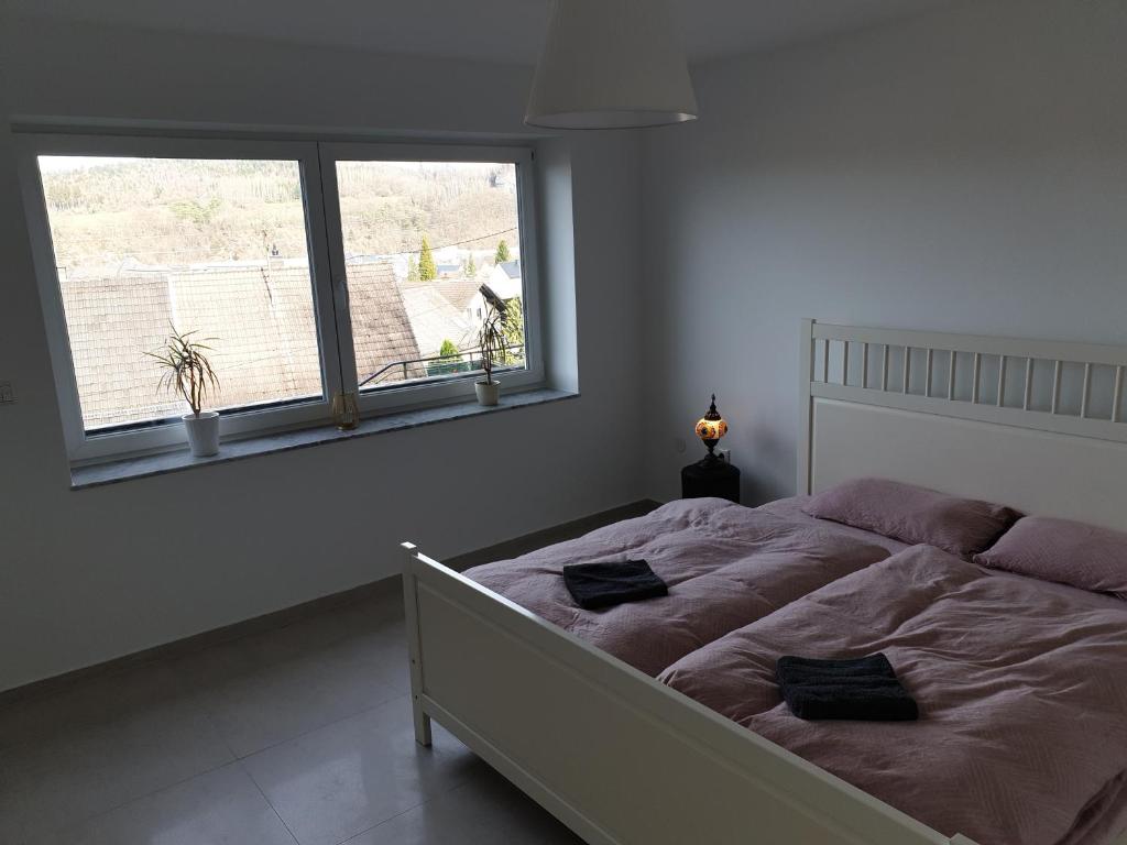 Appartement Schöne Wohnung über Wissen 31 Bergstraße, 57537 Wissen