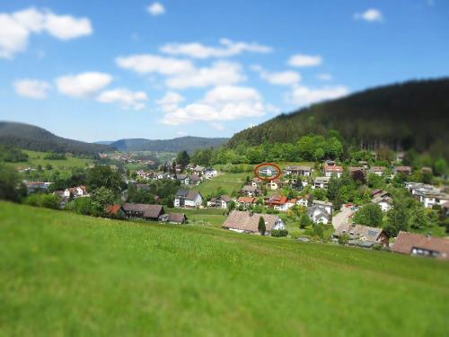 Appartement Schöne Zeiten Ferienwohnung Falkenstraße 71 Baiersbronn