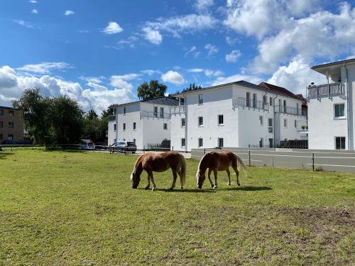 Schöner wohnen im Herzen Oldenburgs Oldenbourg allemagne