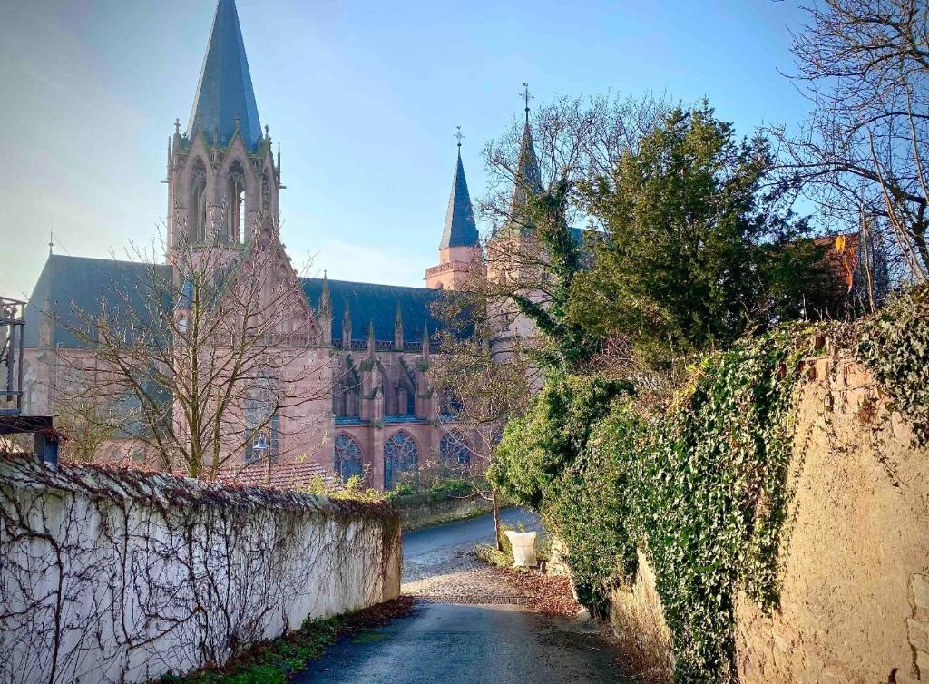 Appartement Schönster Blick auf Oppenheim! 15 Schulstraße, 55276 Oppenheim