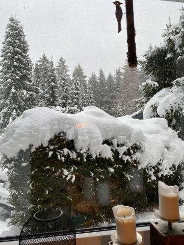 Schönwald Waldchalet am Musenberg Stryck allemagne