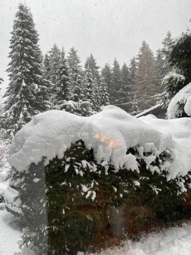 Maison de vacances Schönwald Waldchalet am Musenberg 18 Vor dem Musenberge Stryck