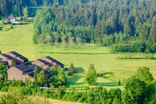 Appartement Schwarzwald-Ferienwohnung mit Panorama Terrassenpark 10 Haus 10, Wohnung 3 Sasbachwalden