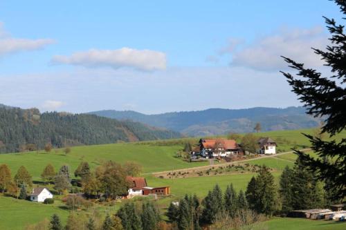 Schwarzwald Obsthof FeWo Ahornbaum Zell am Harmersbach allemagne