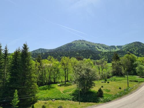 SCI jsm Gresse-en-Vercors france