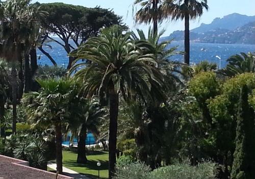 Sea Side apartment Cannes france