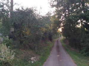 Séjour à la campagne Apatam À Piteou / Aérodrome 32320 Bassoues Midi-Pyrénées