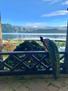 Séjour à la campagne Casa da Lagoa Margem Sul da Lagoa das Furnas Povoação 9675-090 Furnas Açores