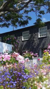 Séjour à la campagne Casa do Zé - AL Caminho da Igreja, 2 Manadas 9800-024 Manadas Açores