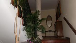 Casa Pinho